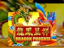 Dragon Phoenix